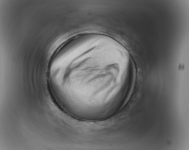 X0000111600007200908061425