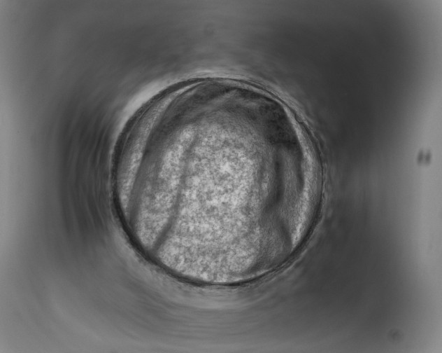 X0000111600008200908061425