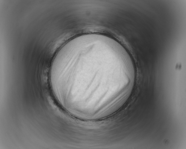 X0000111600010200908061425