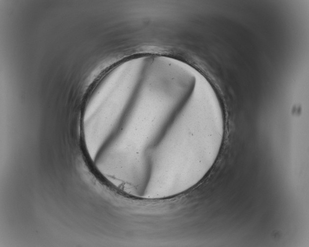 X0000111600011200908061425