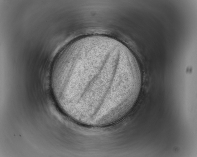 X0000111600012200908061425