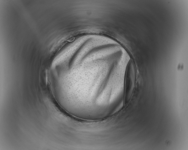 X0000111600013200908061425