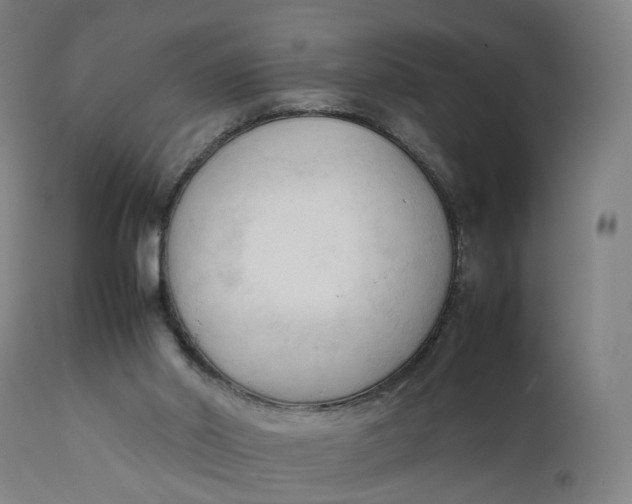 X0000111600014200908061424