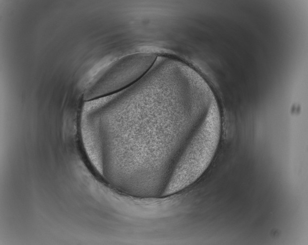 X0000111600015200908061424