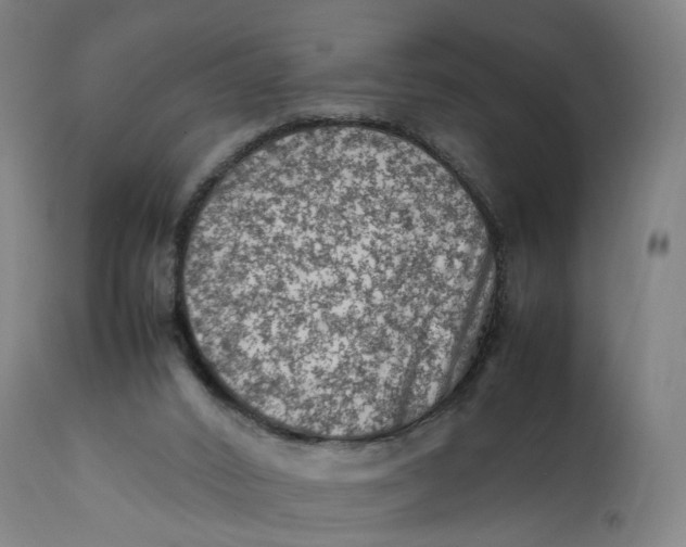 X0000111600016200908061424