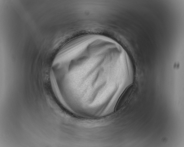 X0000111600017200908061424