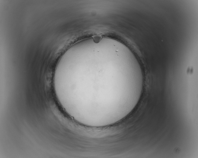 X0000111600018200908061424