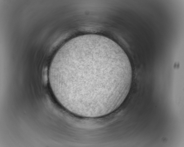 X0000111600020200908061424