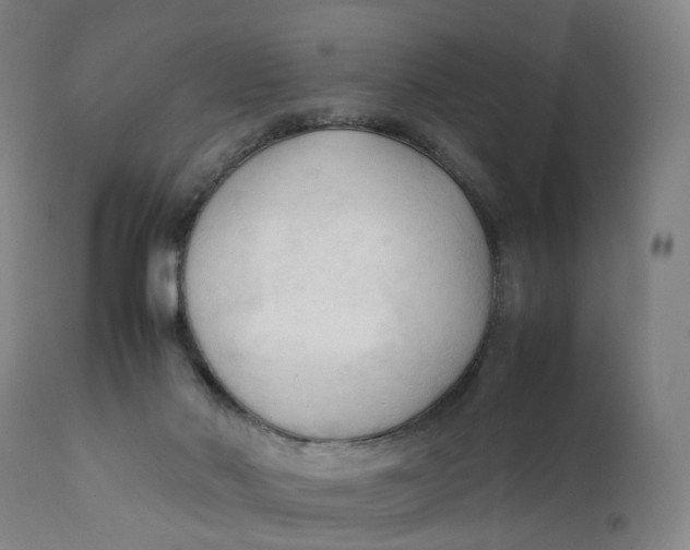 X0000111600022200908061424