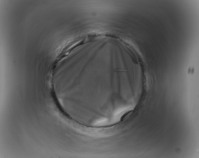 X0000111600023200908061424