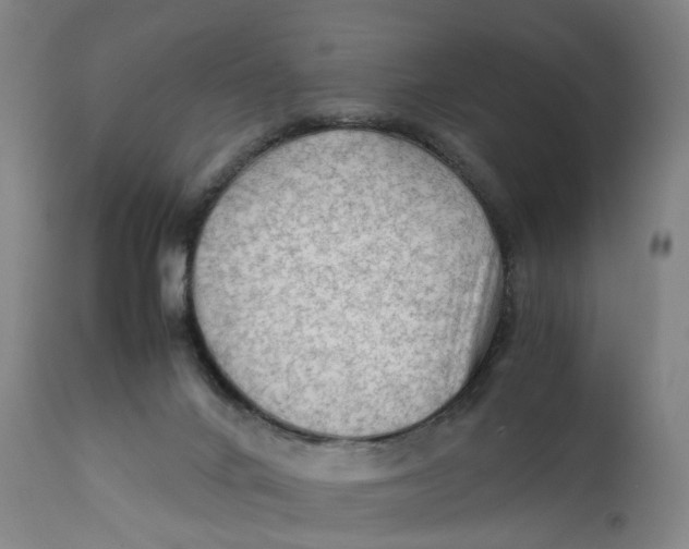 X0000111600024200908061424