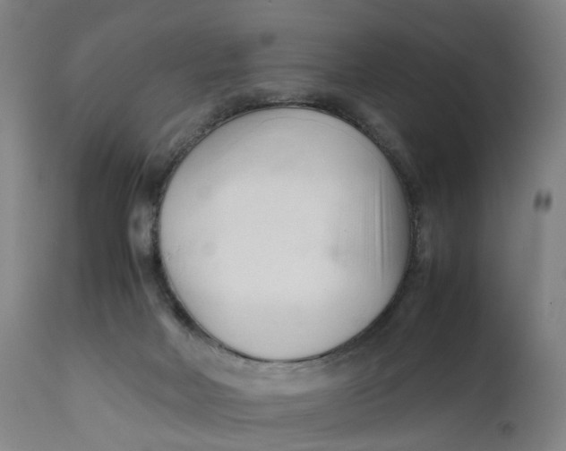 X0000111600026200908061424
