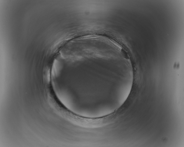 X0000111600027200908061424