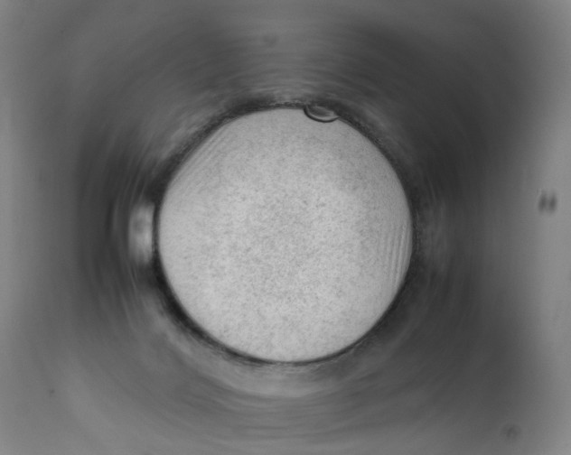 X0000111600028200908061424