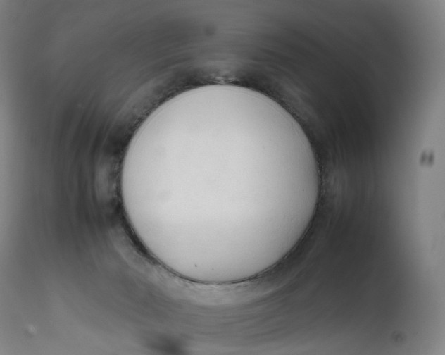 X0000111600030200908061424