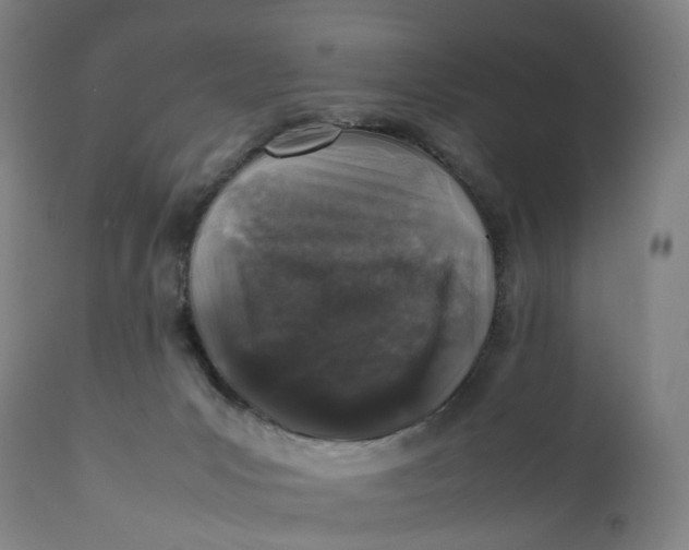 X0000111600031200908061424