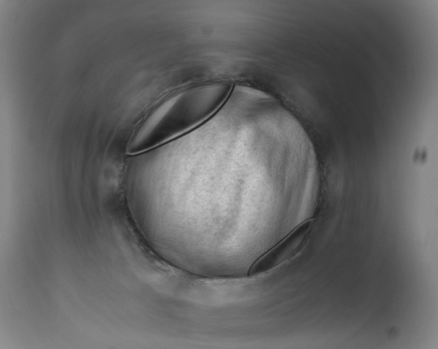 X0000111600033200908061424