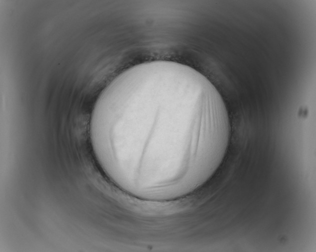 X0000111600034200908061424