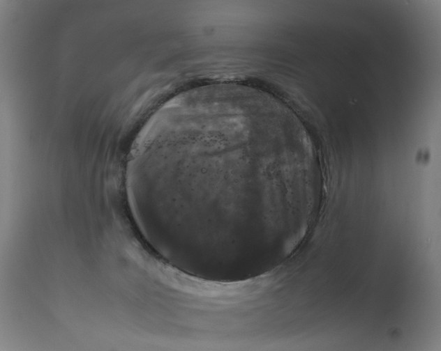 X0000111600035200908061424