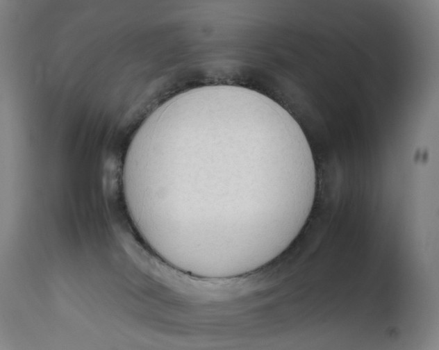 X0000111600038200908061424