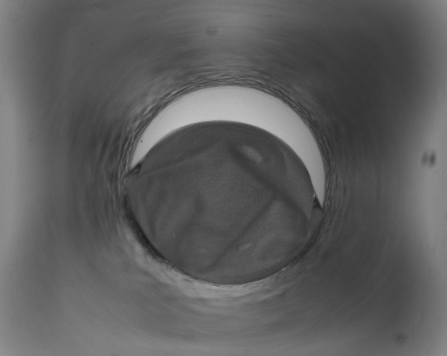 X0000111600039200908061424