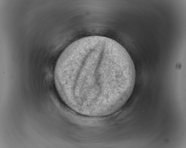 X0000111600040200908061424