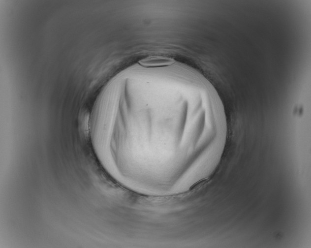 X0000111600041200908061424