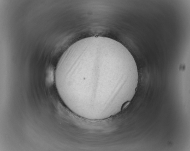X0000111600042200908061424