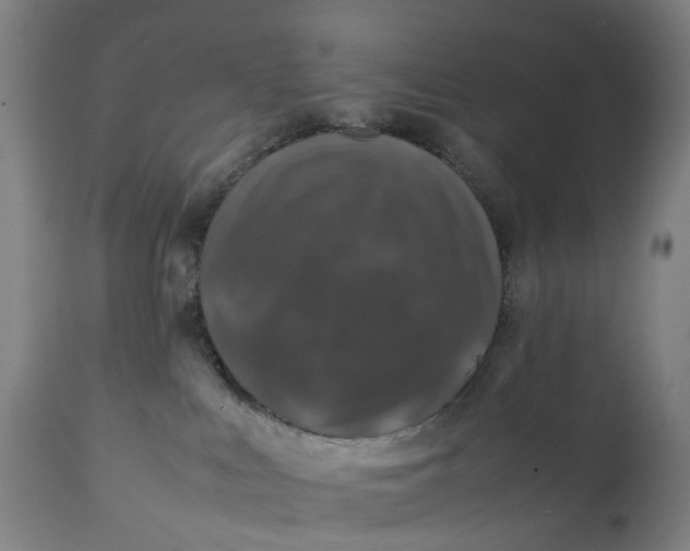 X0000111600043200908061424