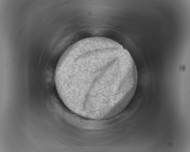 X0000111600044200908061424