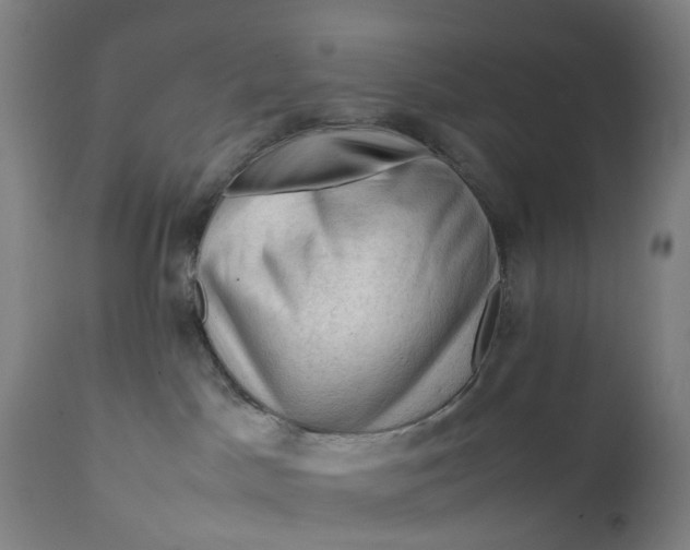 X0000111600045200908061424