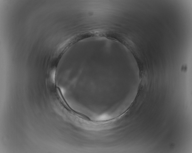 X0000111600047200908061424