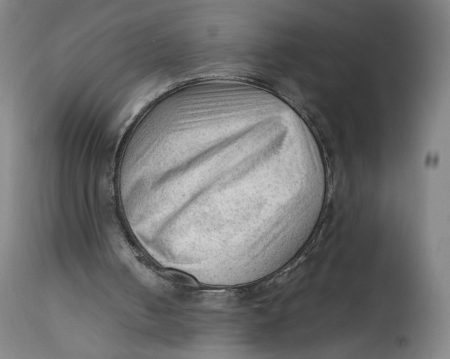 X0000111600050200908061423