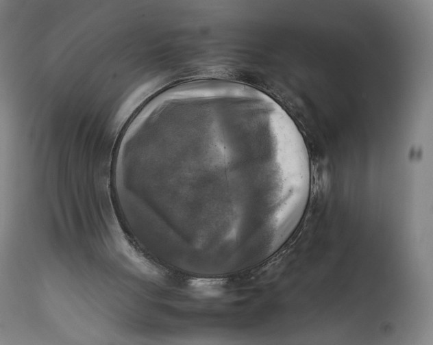 X0000111600051200908061423