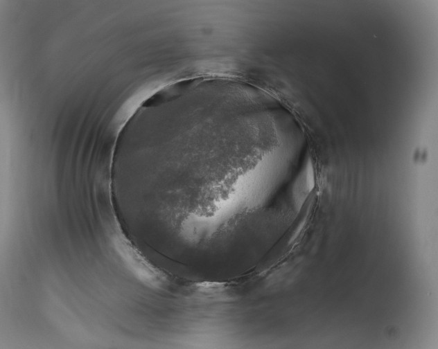 X0000111600052200908061423