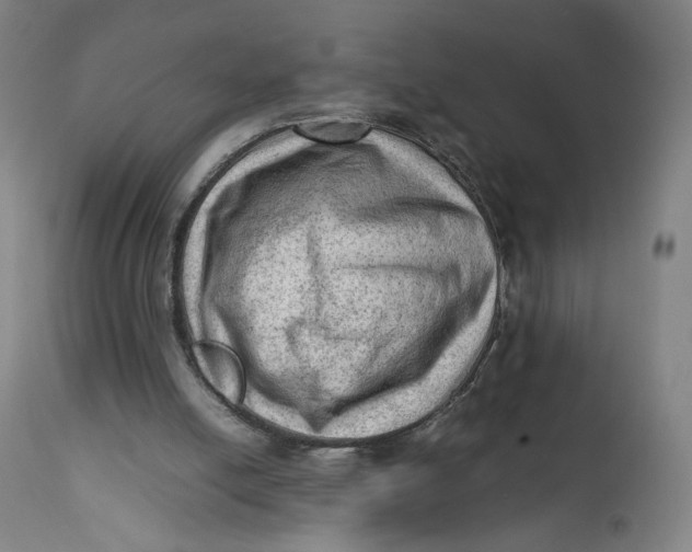 X0000111600054200908061423
