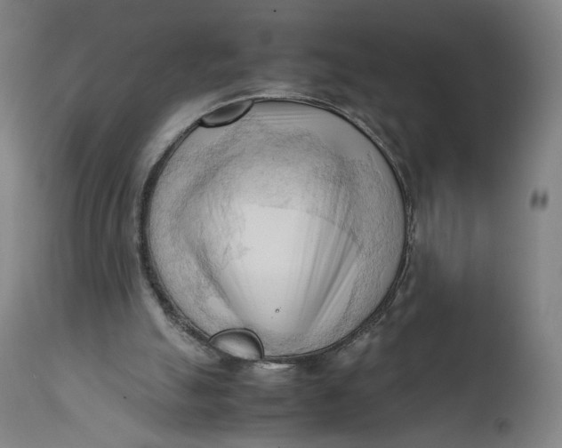 X0000111600055200908061423