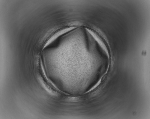 X0000111600057200908061423