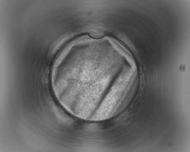 X0000111600058200908061423