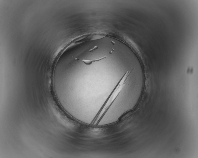 X0000111600059200908061424