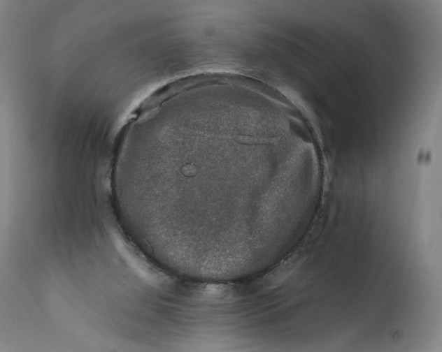 X0000111600060200908061424