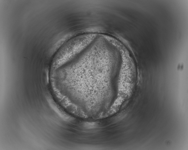 X0000111600061200908061424