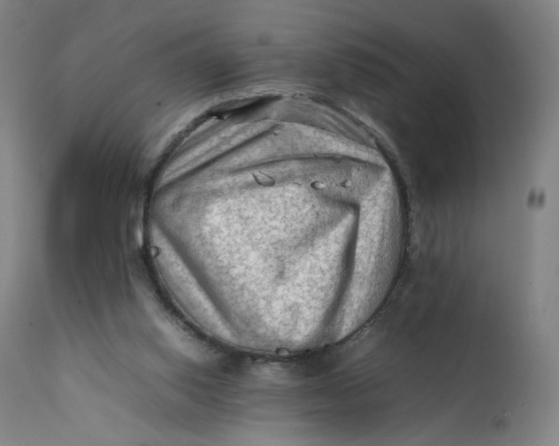 X0000111600062200908061424