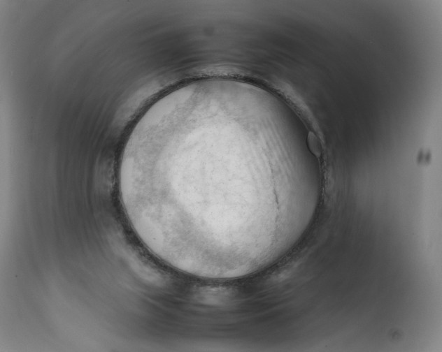 X0000111600063200908061424
