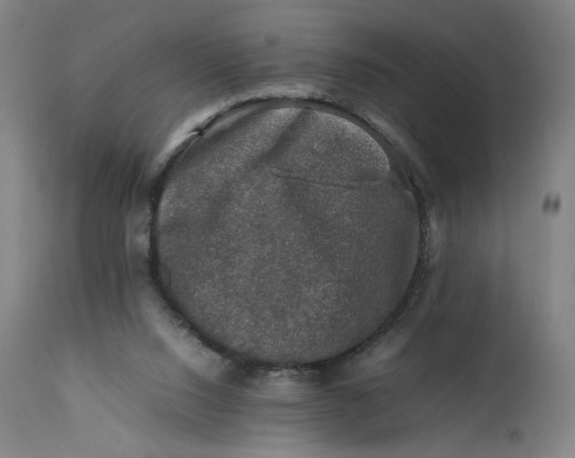 X0000111600064200908061424