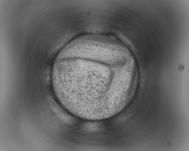 X0000111600065200908061424