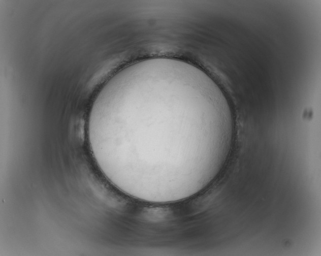 X0000111600067200908061424
