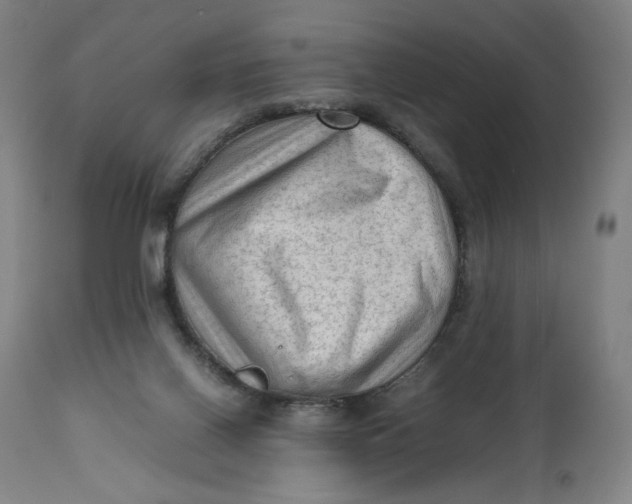 X0000111600070200908061424