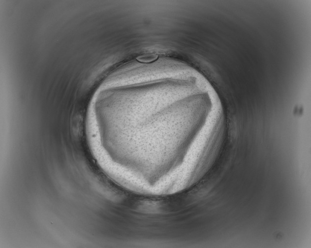 X0000111600071200908061424