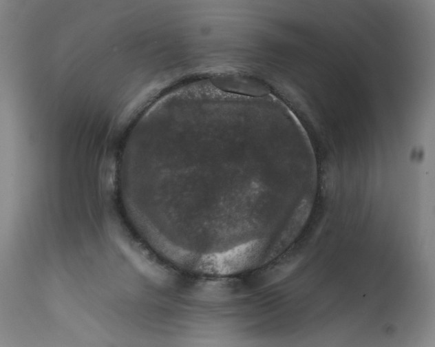 X0000111600072200908061424